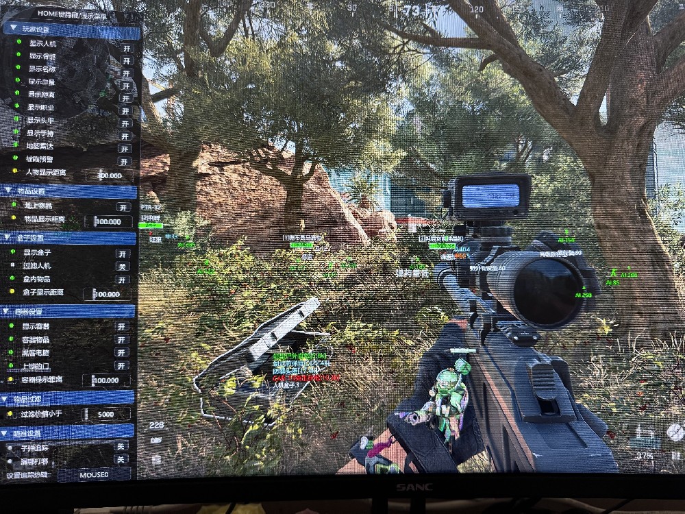 三角洲【弑杀】-绣视+物资+子弹追踪+支持国际服/国服